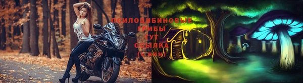 спиды Горно-Алтайск