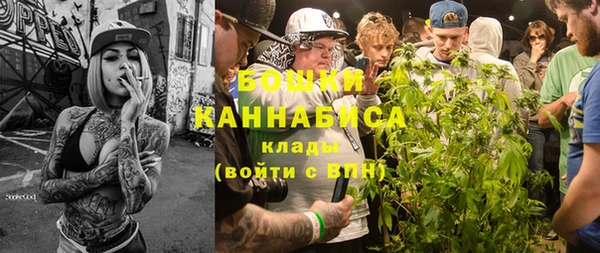 тгк Вяземский
