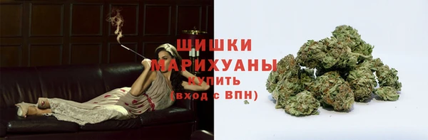 соль ск Горнозаводск