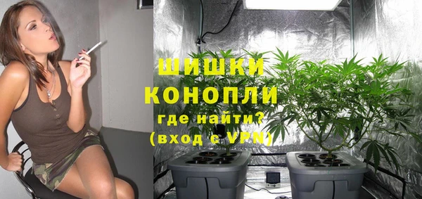 тгк Вяземский
