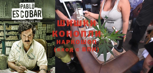 тгк Вяземский