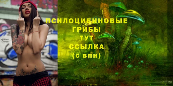 тгк Вяземский
