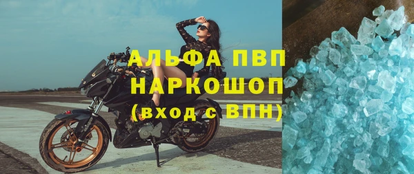 спиды Горно-Алтайск