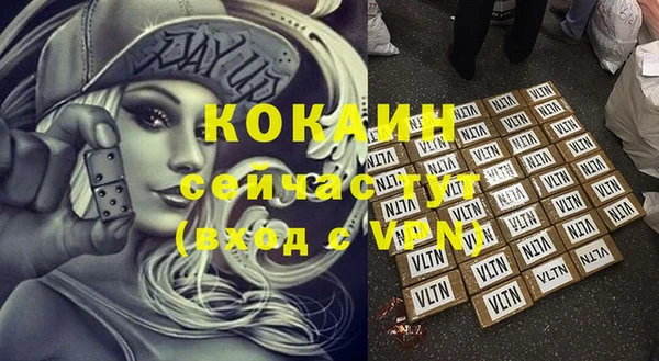 МДПВ Горняк