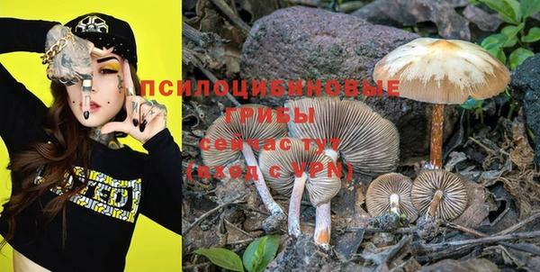 бошки Вязники