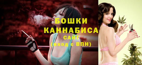МДПВ Горняк
