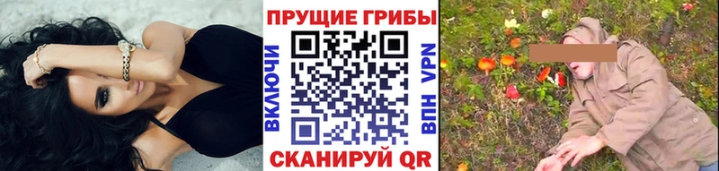 Псилоцибиновые грибы MAGIC MUSHROOMS  купить   Чусовой 